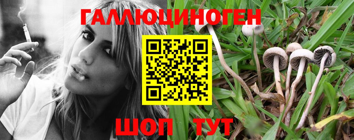 Псилоцибиновые грибы ЛСД  Вход с VPN  Будённовск 